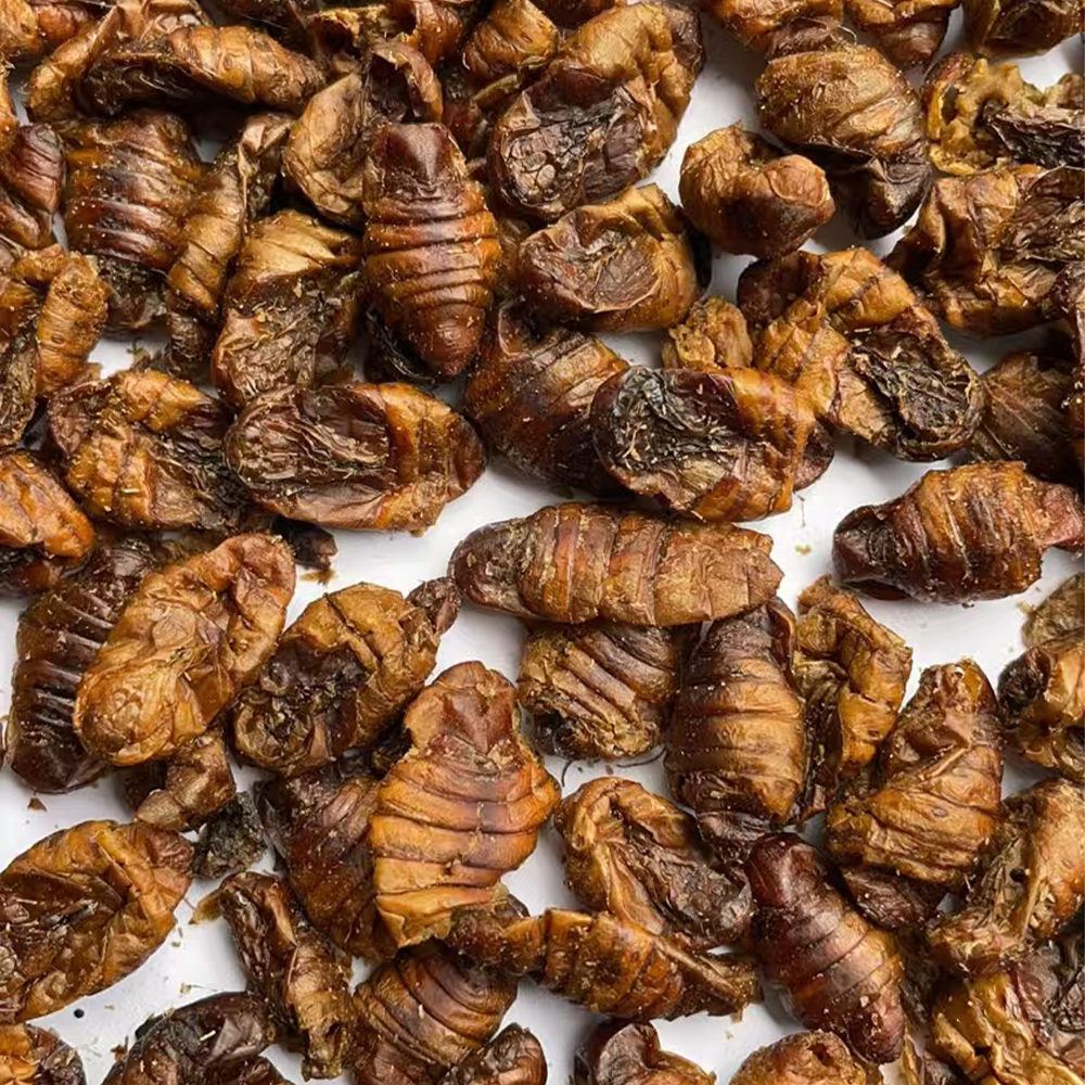 Dried silkworm Chrysalis as Fertilizer